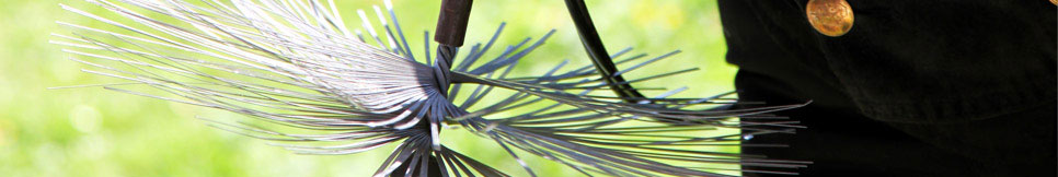 Banner - Frank Dertmann